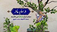 جمعه در ۱۸ نقطه گلستان نهال کاری می‌شود