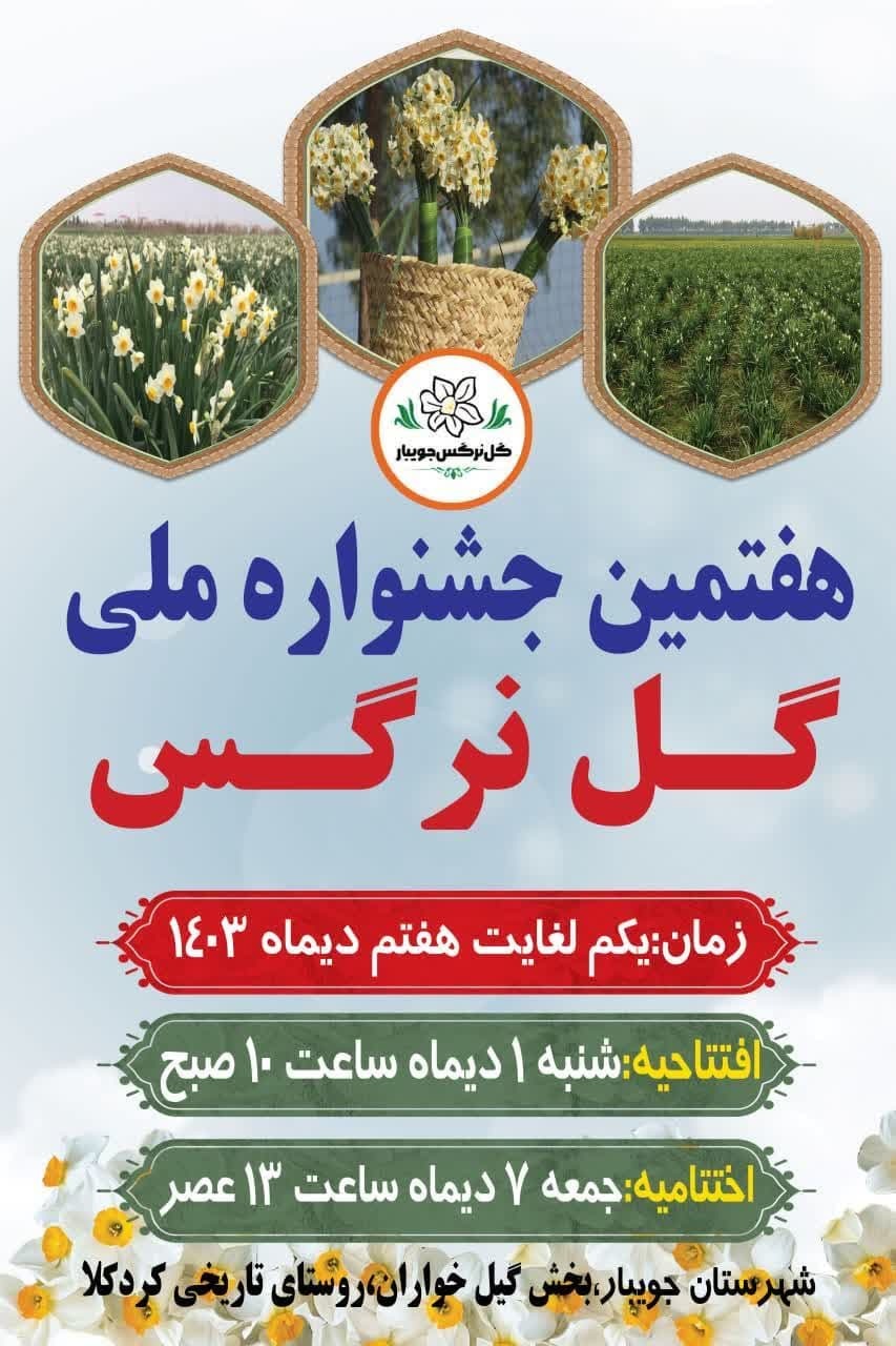 هفتمین جشنواره ملی گل نرگس در جویبار