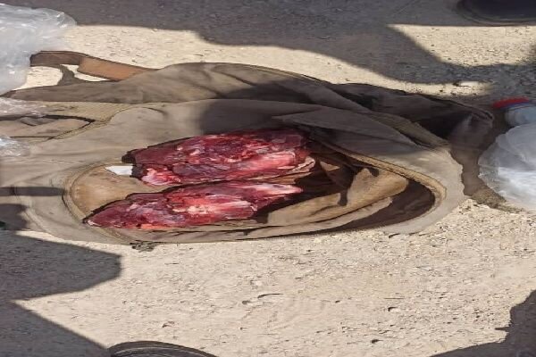 دستگیری متخلف شکار در منطقه حفاظت شده خائیز شهرستان کهگیلویه