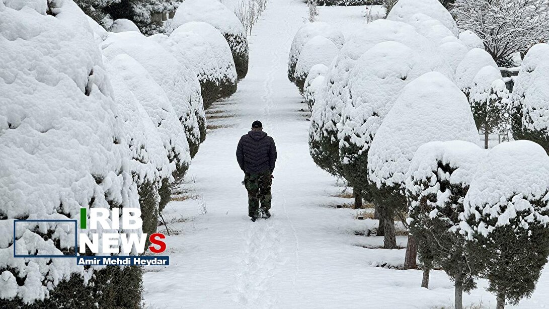بارش برف زمستانی در تهران / ۳۰ دی ۱۴۰۴