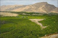 بررسی ۶۰ پرونده در کمیسیون واگذاری اراضی برای طرح‌های کشاورزی و غیرکشاورزی در آذربایجان غربی