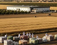 ساخت ۲۹ واحد صنایع تبدیلی و غذایی جدید در خراسان رضوی