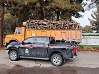 حمل محصولات جنگلی بدون مجوز منابع طبیعی ممنوع است