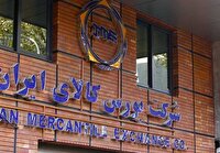 سهم بالای تالار صادراتی در عرضه‌های امروز بورس کالا