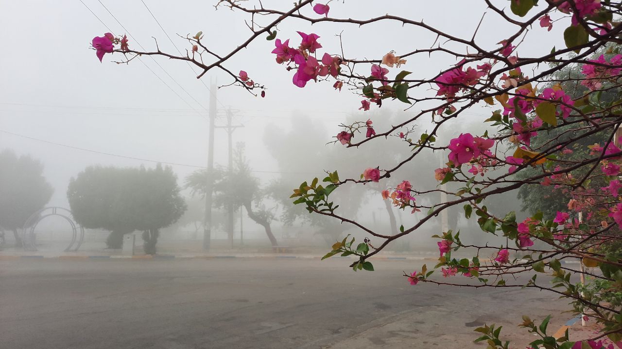 رطوبت ۱۰۰ درصدی هوا در جنوب غرب خوزستان رطوبت ۱۰۰ درصدی هوا در جنوب غرب خوزستان