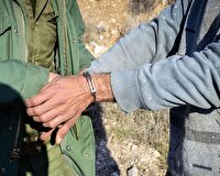 دستگیری متخلفان شکار پرندگان وحشی در تربت‌جام