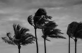 شمال خلیج فارس نیز در تا پایان روز جمعه مواج خواهد بود. سامانه بعدی بارش از روز شنبه استان را تحت تاثیر قرا خواهد داد. شمال خلیج فارس نیز در تا پایان روز جمعه مواج خواهد بود. سامانه بعدی بارش از روز شنبه استان را تحت تاثیر قرا خواهد داد.