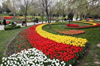 آغاز کاشت ۹۰۰ هزار گونه گیاهی دائمی در استقبال از بهار