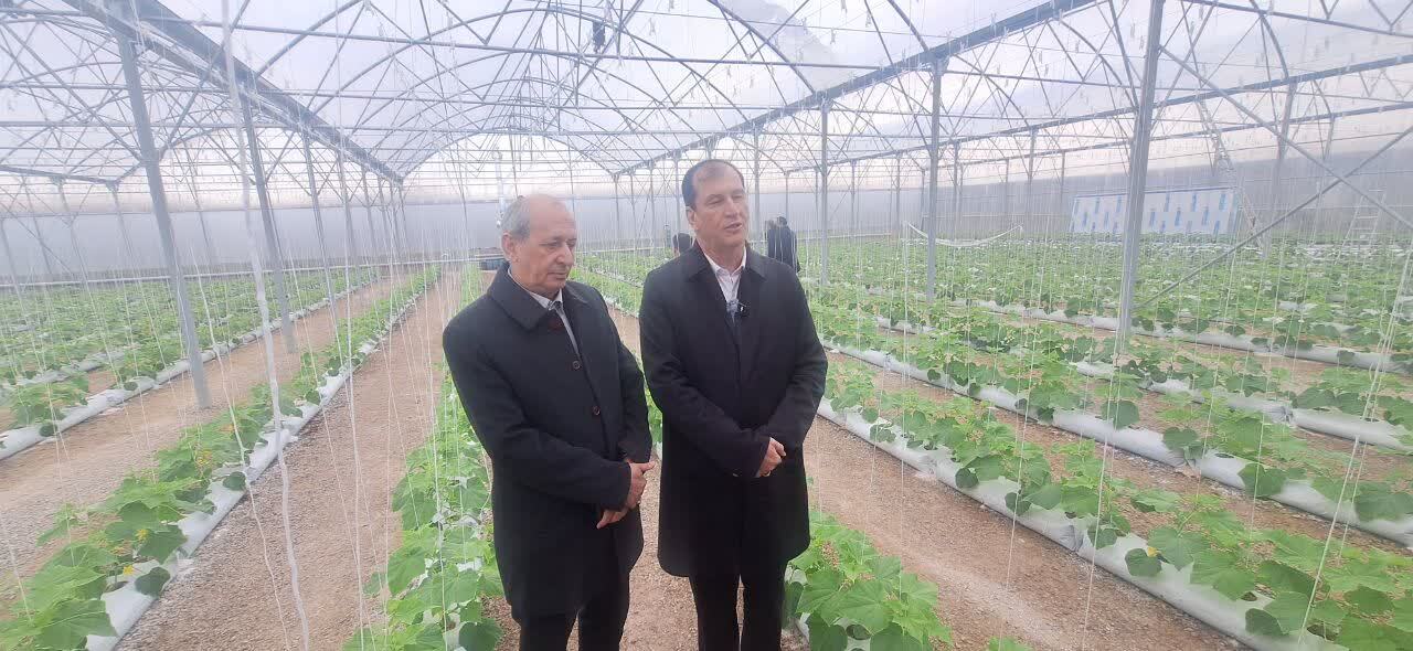 افتتاح ۷۵ طرح کشاورزی در آذربایجان شرقی