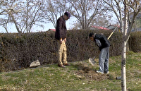 آغاز مرحله نخست طرح نهال انتظار ۲ در قزوین 