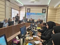 پیوستن حدود ۷۰ درصد از مودیان مالیاتی به سامانه فاکتور الکترونیکی