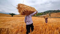 برگزاری آیین خدا قوت کشاورز در فاروج
