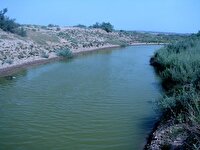 «رودشور» در آستانه فاجعه زیست‌محیطی