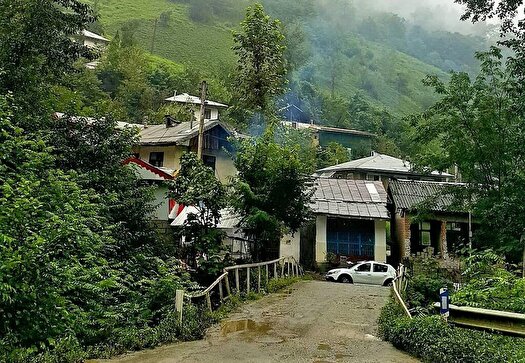 تماشای طبیعت زیبای سیاهمزگی از لنز دوربین شهروند خبرنگار