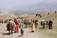 پرداخت ۳۱۰ میلیارد تومان تسهیلات به عشایر خراسان جنوبی