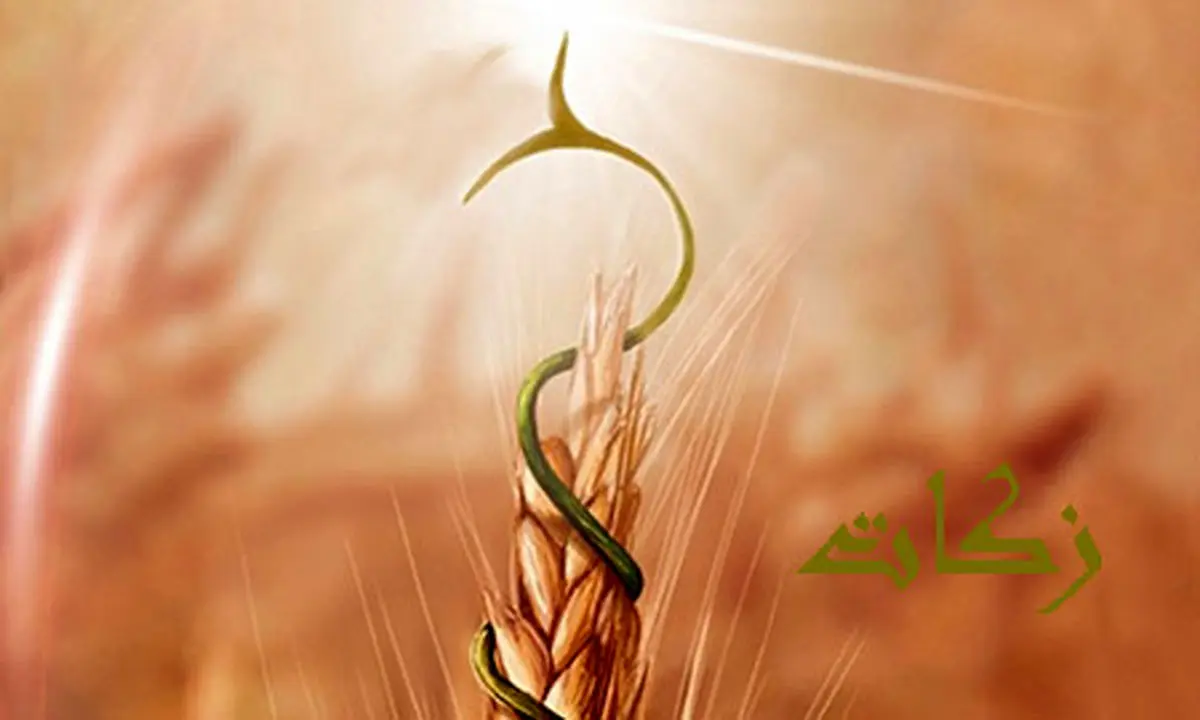 جهش ۱۸۵ درصدی پرداخت زکات در مهاباد