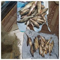 دستگیری متخلفان صید غیرمجاز ماهی در شهرستان کوهرنگ