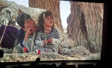 موی گرگ نامزد دریافت پروانه‌های زرین جشنواره فیلم‌های کودکان و نوجوانان