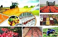 صدور ۱۲ پروانه بهره برداری صنایع تبدیلی جدید در هرمزگان