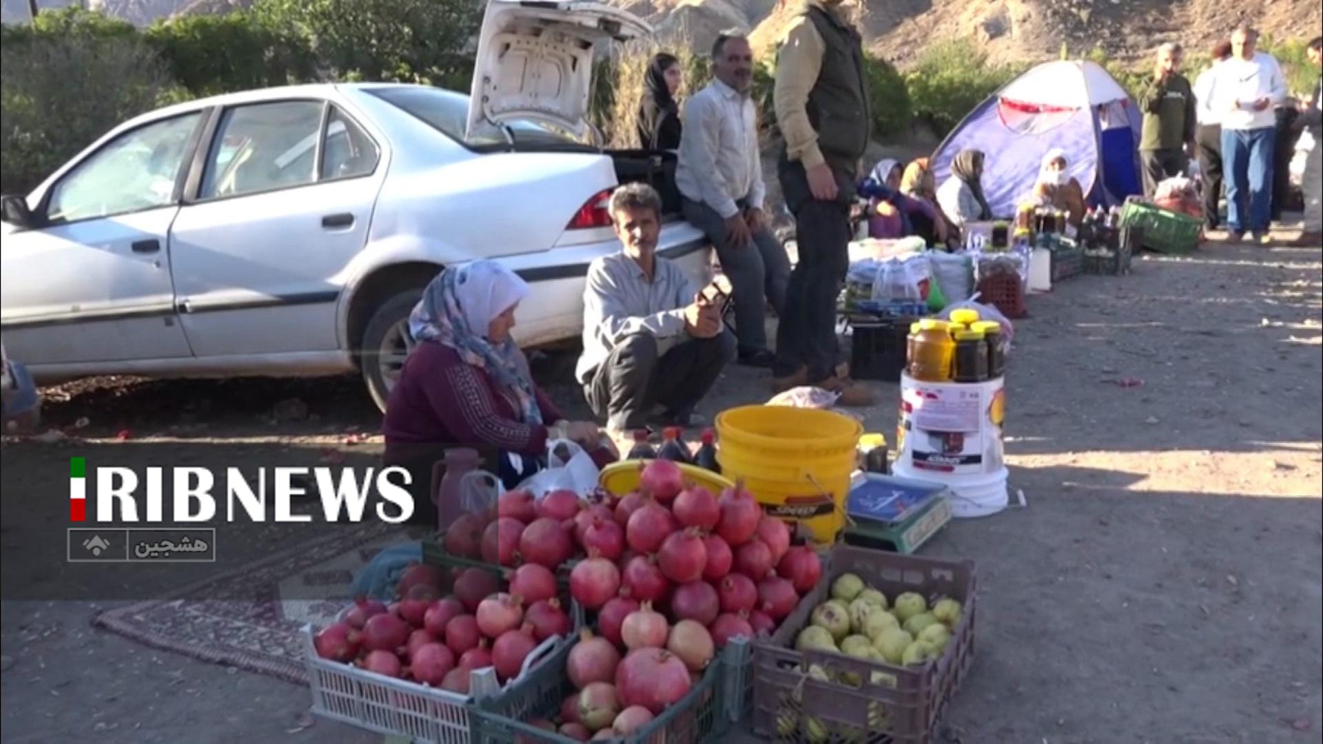 تولید سالانه ۶۰۰ تن انار در روستای نمهیل خلخال