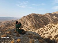 آغاز سرشماری پاییزه پستانداران در خراسان شمالی