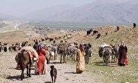 کوچ بیش از ۹۰ درصد عشایر چهارمحال و بختیاری