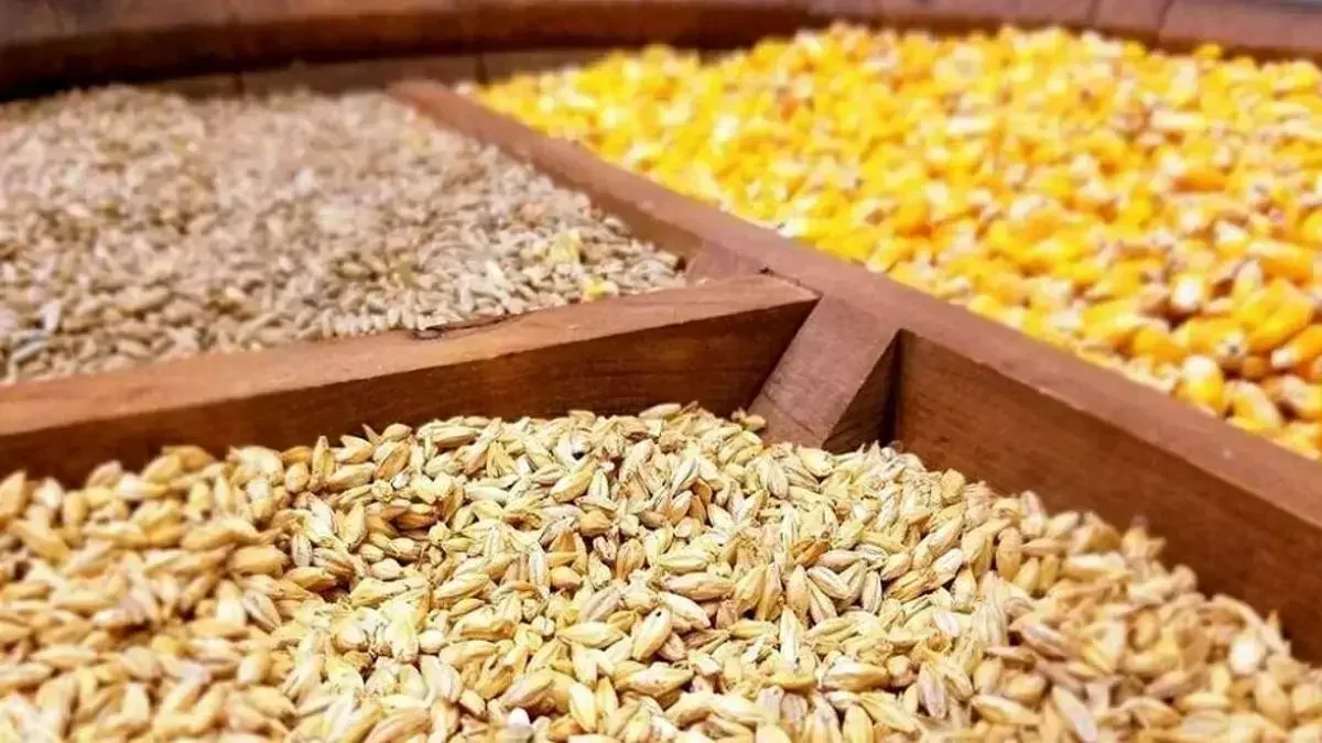 عضو کمیسیون کشاورزی مجلس: مشکلی در تأمین نهادهها تا عید نوروز نداریم عضو کمیسیون کشاورزی مجلس: مشکلی در تأمین نهادهها تا عید نوروز نداریم