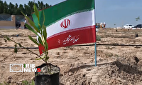 برگزاری پویش کاشت نهال سرو ایران در شهرک صنعتی بوشهر