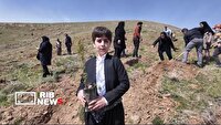 کاشت بیش ۶۵۰ هزار اصله نهال در اجرای طرح  درختکاری سرو ایران
