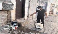 تداوم اجرای عملیات مقابله با پشه آئدس در مناطق مختلف کیش