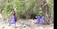 روستا‌هایی سرسبز با آب وهوایی دلپذیر در شهرستان میرجاوه