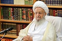 نظر آیت‌الله مکارم‌ شیرازی درباره تشرف به حج امسال
