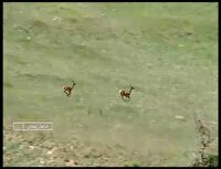 محیط بانان حافظان محیط زیست در خراسان شمالی