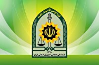 سارقان خودرو در حین سرقت منزل دستگیر شدند