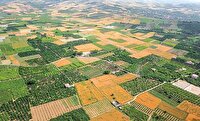 رفع تداخل بیش از ۱۲ هزار هکتار زمین کشاورزی در خوزستان