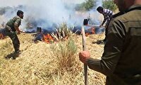 خطر آتش سوزی در مراتع و عرصه‌های منابع طبیعی خراسان شمالی