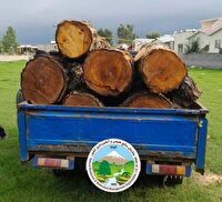 کشف و ضبط چوب‌آلات قاچاق در شهرستان نور