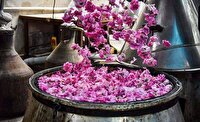 نمایشگاه گل و گلاب، اقوام ایرانی و صنایع‌دستی در کرج
