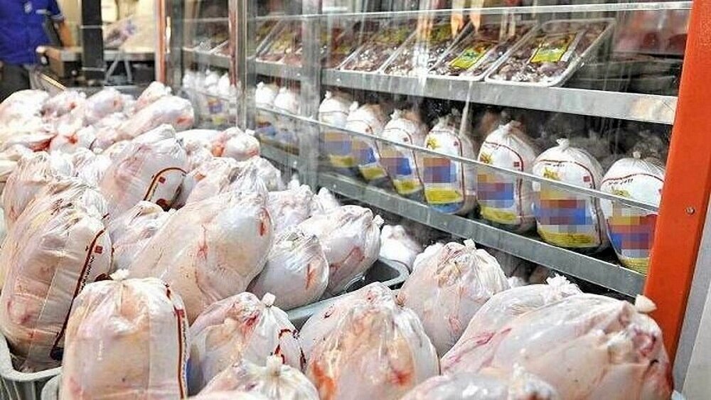 اجرای طرح خرید حمایتی گوشت مرغ منجمد بسته بندی در خراسان جنوبی اجرای طرح خرید حمایتی گوشت مرغ منجمد بسته بندی در خراسان جنوبی