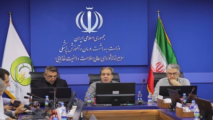 تأکید بر هم‌افزایی بین‌بخشی برای استقرار نظام ارجاع///عکس بی کیفیت لطفا اصلاح