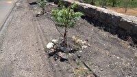 راه اندازی سامانه آبیاری  فضای سبز روستای طزره دامغان