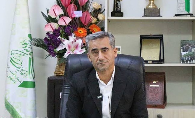 خودکفایی در تولید مقوا، اما وابستگی در واردات کاغذ تحریر خودکفایی در تولید مقوا، اما وابستگی در واردات کاغذ تحریر