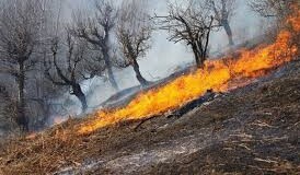 آتشسوزی در ۳۰ هکتار از عرصههای جنگلی اَرمَندچهارمحال و بختیاری آتشسوزی در ۳۰ هکتار از عرصههای جنگلی اَرمَندچهارمحال و بختیاری