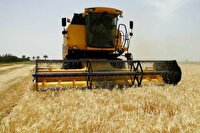 آغاز برداشت جو از مزارع شهرستان اسدآباد