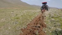 ایجاد ۸۳ کیلومتر آتش‌بر در منابع طبیعی استان مرکزی؛ سه ماه بدون حتی یک مورد حریق